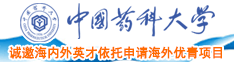 贵妇操逼网中国药科大学诚邀海内外英才依托申请海外优青项目